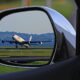 vista avion por espejo lateral